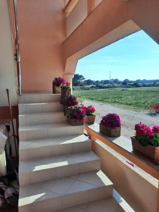 Ferienwohnung Penzion U Kapitana Vir Exterior foto